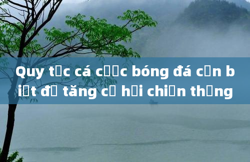 Quy tắc cá cược bóng đá cần biết để tăng cơ hội chiến thắng