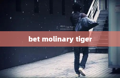 bet molinary tiger