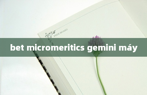 bet micromeritics gemini máy