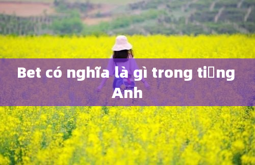 Bet có nghĩa là gì trong tiếng Anh