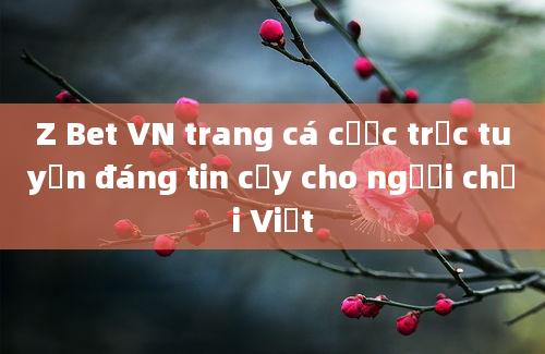 Z Bet VN trang cá cược trực tuyến đáng tin cậy cho người chơi Việt