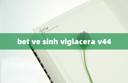 bet ve sinh viglacera v44