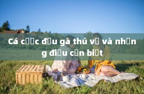 Cá cược đấu gà thú vị và những điều cần biết