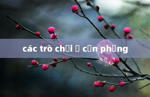 các trò chơi ở cồn phụng