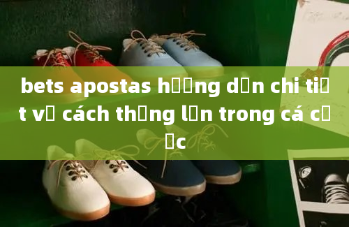 bets apostas hướng dẫn chi tiết về cách thắng lớn trong cá cược