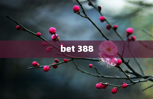 bet 388