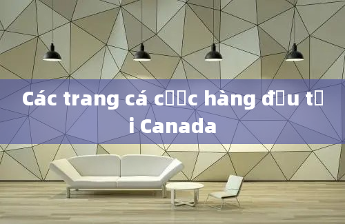 Các trang cá cược hàng đầu tại Canada