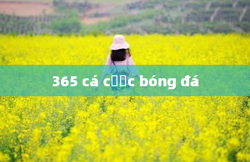 365 cá cược bóng đá