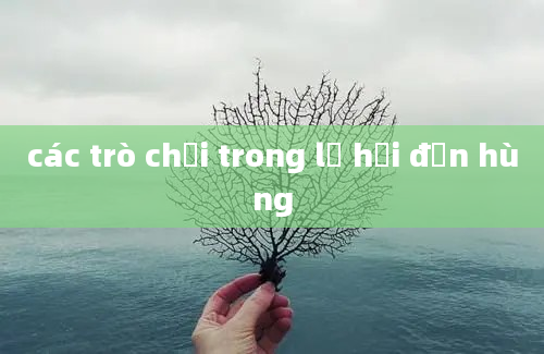 các trò chơi trong lễ hội đền hùng