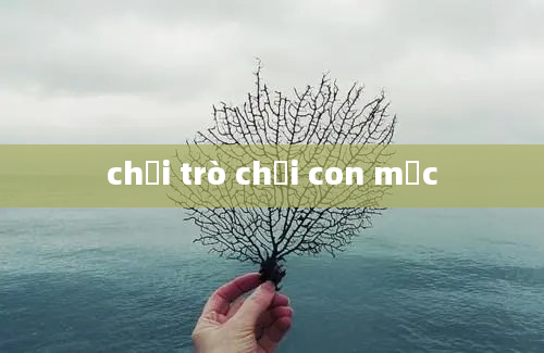 chơi trò chơi con mực