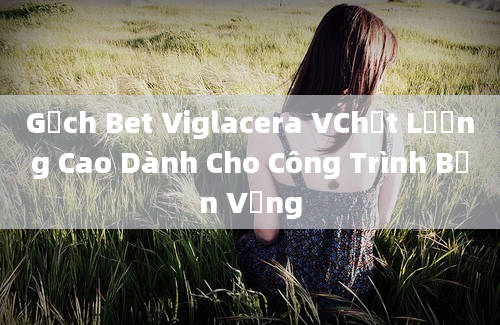 Gạch Bet Viglacera VChất Lượng Cao Dành Cho Công Trình Bền Vững