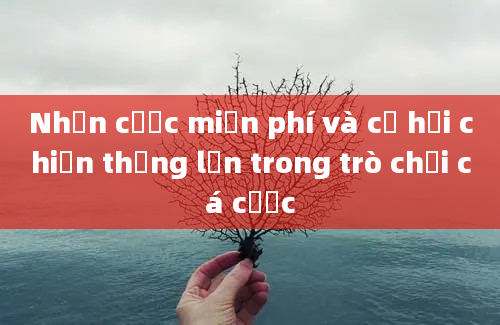 Nhận cược miễn phí và cơ hội chiến thắng lớn trong trò chơi cá cược