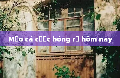 Mẹo cá cược bóng rổ hôm nay