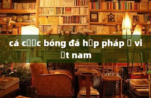 cá cược bóng đá hợp pháp ở việt nam