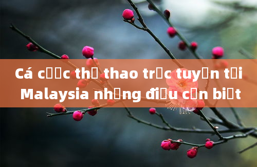 Cá cược thể thao trực tuyến tại Malaysia những điều cần biết