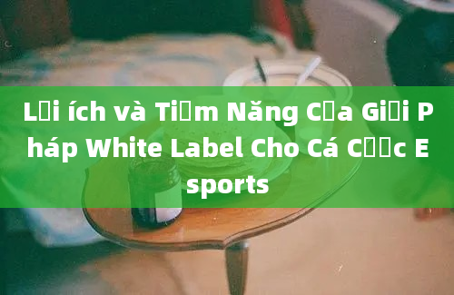 Lợi ích và Tiềm Năng Của Giải Pháp White Label Cho Cá Cược Esports