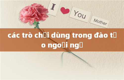 các trò chơi dùng trong đào tạo ngoại ngữ