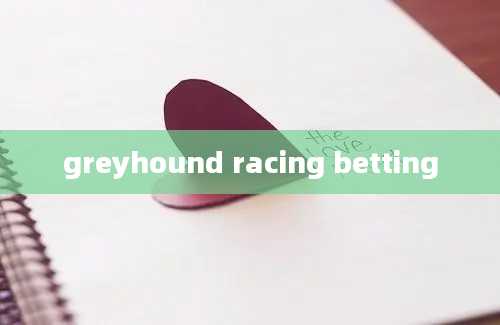 greyhound racing betting