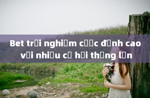 Bet trải nghiệm cược đỉnh cao với nhiều cơ hội thắng lớn