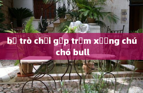 bộ trò chơi gắp trộm xương chú chó bull