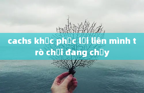 cachs khắc phục lỗi liên mình trò chơi đang chạy