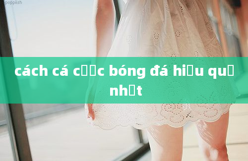 cách cá cược bóng đá hiệu quả nhất