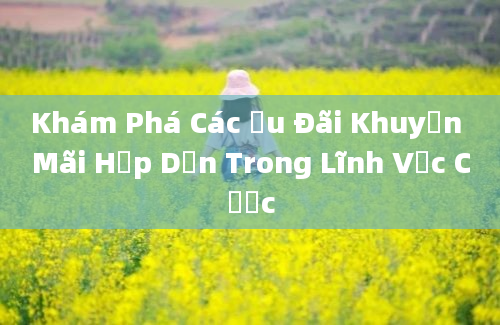 Khám Phá Các Ưu Đãi Khuyến Mãi Hấp Dẫn Trong Lĩnh Vực Cược