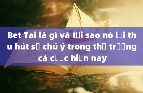 Bet Tai là gì và tại sao nó lại thu hút sự chú ý trong thị trường cá cược hiện nay