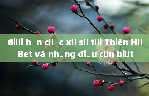 Giới hạn cược xổ số tại Thiên Hạ Bet và những điều cần biết