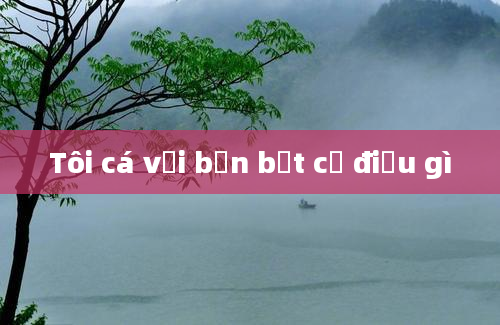 Tôi cá với bạn bất cứ điều gì