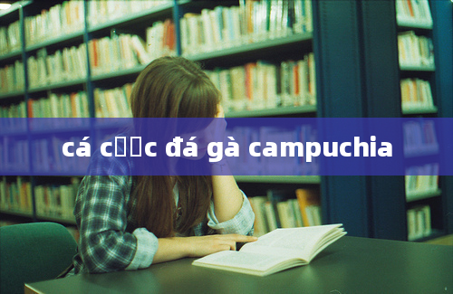 cá cược đá gà campuchia