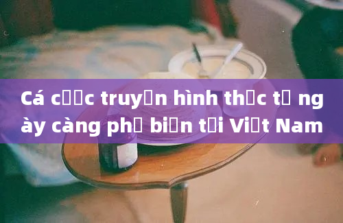 Cá cược truyền hình thực tế ngày càng phổ biến tại Việt Nam