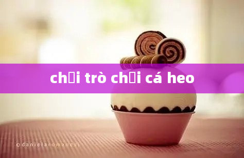 chơi trò chơi cá heo