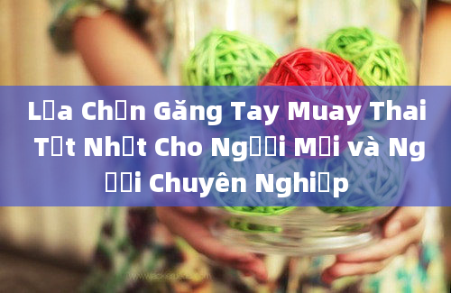 Lựa Chọn Găng Tay Muay Thai Tốt Nhất Cho Người Mới và Người Chuyên Nghiệp