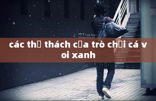 các thử thách của trò chơi cá voi xanh