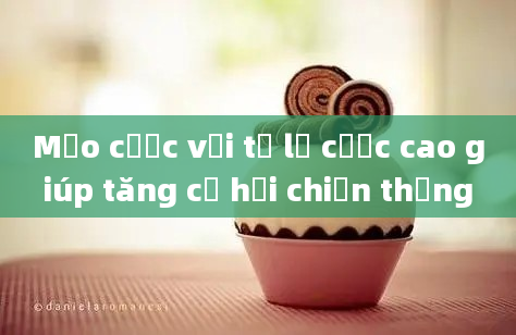 Mẹo cược với tỷ lệ cược cao giúp tăng cơ hội chiến thắng