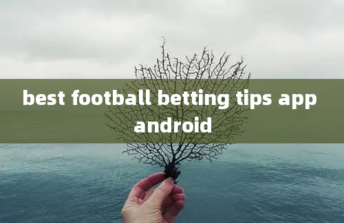 best football betting tips app android