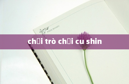 chơi trò chơi cu shin