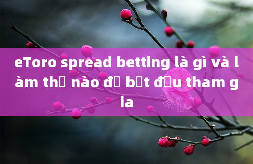 eToro spread betting là gì và làm thế nào để bắt đầu tham gia