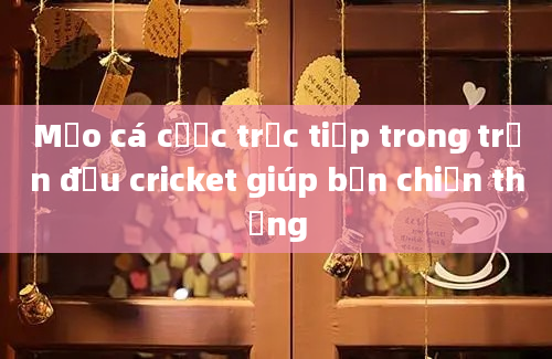 Mẹo cá cược trực tiếp trong trận đấu cricket giúp bạn chiến thắng