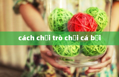 cách chơi trò chơi cá bơi