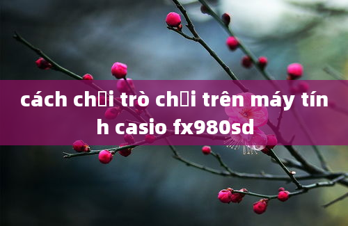 cách chơi trò chơi trên máy tính casio fx980sd