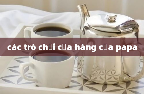 các trò chơi cửa hàng của papa