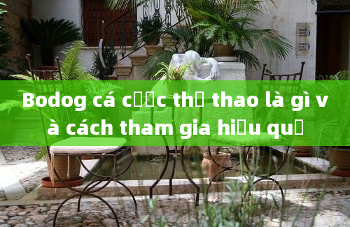 Bodog cá cược thể thao là gì và cách tham gia hiệu quả