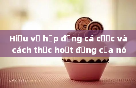 Hiểu về hợp đồng cá cược và cách thức hoạt động của nó