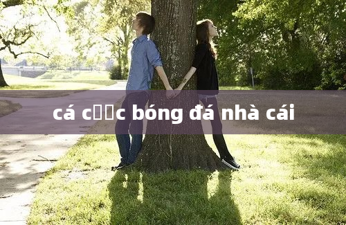 cá cược bóng đá nhà cái