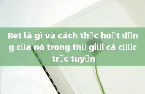 Bet là gì và cách thức hoạt động của nó trong thế giới cá cược trực tuyến