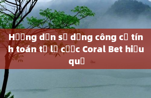 Hướng dẫn sử dụng công cụ tính toán tỷ lệ cược Coral Bet hiệu quả