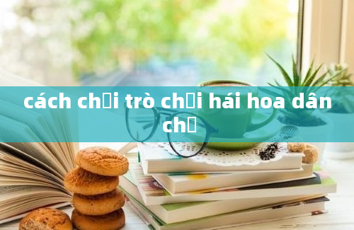 cách chơi trò chơi hái hoa dân chủ