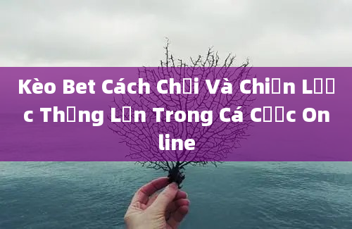 Kèo Bet Cách Chơi Và Chiến Lược Thắng Lớn Trong Cá Cược Online